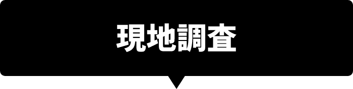 現地調査